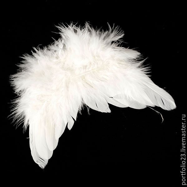 Крылья купить недорого. Крылышки ангела. Крылья из перьев. Крылья из перьев для куклы. Крылья ангела для рукоделия.