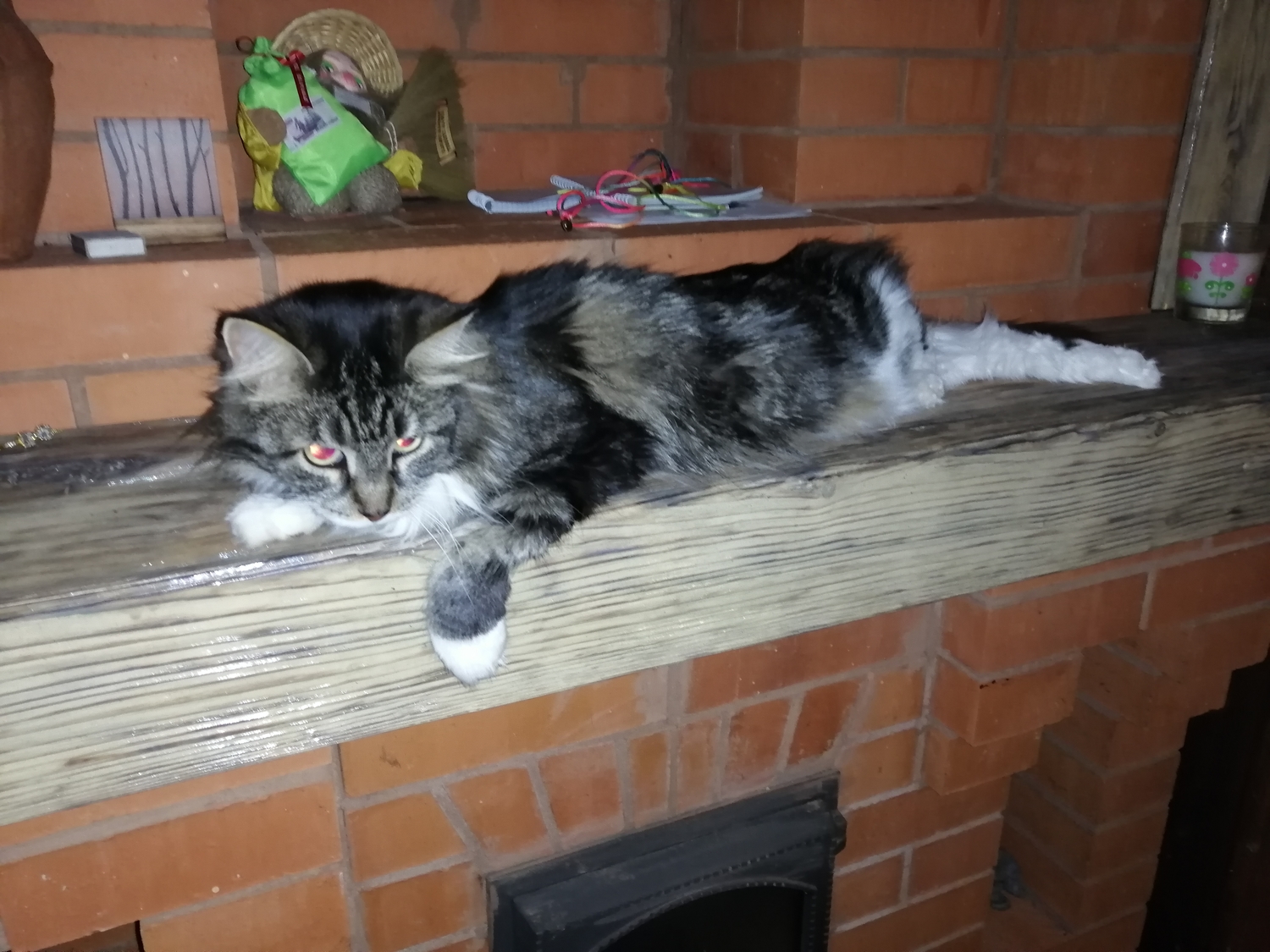 Мой профиль