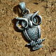 OWL. Silver pendant with cymophanes. Pendant. Aleksey Fominykh. Online shopping on My Livemaster.  Фото №2