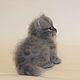 felted cat 'Marcus'. Felted Toy. Anna Petinati- Live toys handmade. My Livemaster. Фото №4