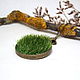 Pendant Green Grass White Yellow Moss Green Forest Fairy Eco Jewelry, Pendants, Taganrog,  Фото №1