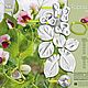SWEET PEAS, Vainer and cutters, Cutters, Kurgan,  Фото №1