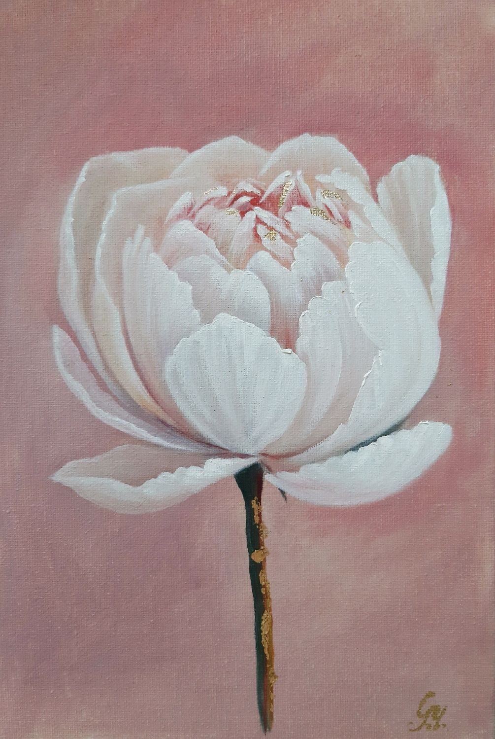 White peony, oil painting on canvas, flowers, Potala painting, Pictures, Kemerovo,  Фото №1