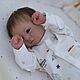 Кукла реборн Felicia, Куклы Reborn, Каневская,  Фото №1