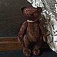   Потап. Мишки Тедди. Ручные мишки Тедди (tamedteddybears). Ярмарка Мастеров.  Фото №8