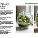 Подарочный сертификат на консультацию фитодизайнера. Открытки и пригласительные. Евгения Творческая (evalis). Ярмарка Мастеров.  Фото №6