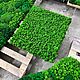 Панель из мха 70*70см. Фитокартины. Green.Box. Ярмарка Мастеров.  Фото №4