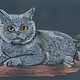 Painting Grey British Cat. Dry pastel. Pictures. zazulla (zazulla). Online shopping on My Livemaster.  Фото №2
