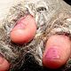 Glovelettes made of dog hair 'Yakutia'. Mitts. Livedogsnitka (MasterPr). My Livemaster. Фото №5
