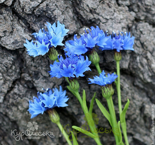 Купить Васильки синие из полимерной глины. Подарок. Холодный фарфор ...