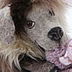 dog. Doggy games from the wool. Felted Toy. benandlu. My Livemaster. Фото №5