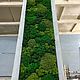 Панно из мха. Фитокартины. Green.Box. Ярмарка Мастеров.  Фото №5