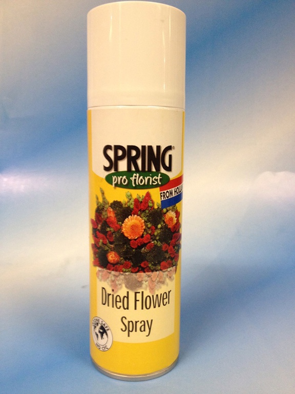 Flower spray. Спрей для сухоцветов. Лак с сухоцветами. Спрей от пыли для сухоцветов. Клей для сухоцветов.