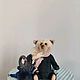 Мишка Тедди в костюме лебедя. Мишки Тедди. Teddy_doll_tarusa. Ярмарка Мастеров.  Фото №7