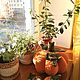 Set of 3 fabric pumpkins. Composition. svetlalife (svetlalife). My Livemaster. Фото №4