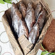 Букет из шоколадных рыб, Фигуры из шоколада, Москва,  Фото №1