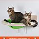 Гамак с флисовой лежанкой для кошек «Кусиро». Лежанки. Мы Бобры. Интернет-магазин Ярмарка Мастеров.  Фото №2