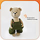 Медведь Тодд. Мишки Тедди. Woosh Plush. Ярмарка Мастеров.  Фото №4