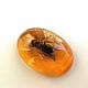 Magnet Bee in resin real bee resin under amber souvenir. Magnets. BalticAmberJewelryRu Tatyana. My Livemaster. Фото №4