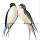 Two Swallows greeting Card for lovers, Cards, St. Petersburg,  Фото №1