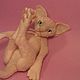 felt toy: pink cat Cornish Rex Eva. Felted Toy. Vintage Teddys House. My Livemaster. Фото №6