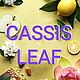 Листья смородины (Cassis leaf) отдушка, 10 мл. Ароматизаторы. САМОДЕЛКИН. Интернет-магазин Ярмарка Мастеров.  Фото №2