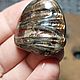 Кабашоны из аммолита. Заготовки для украшений. JeweLena. Ярмарка Мастеров.  Фото №6