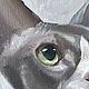 Двухцветный сфинкс кошка Картина маслом 10х10 см. Картины. Картины маслом Антонина Любецкая. Ярмарка Мастеров.  Фото №5