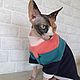 Одежда для кошек " Свитер флис полоски". Одежда для питомцев. Happy-Sphynx. Ярмарка Мастеров.  Фото №5