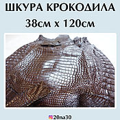 Ремешок для часов из кожи крокодила размер 20/18 лот 170830