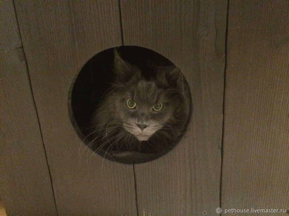 Мой профиль