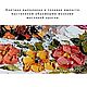 Заказать Котик картина маслом, 30х30 см. импасто. Картины мастихином. Ярмарка Мастеров. . Картины Фото №3