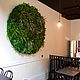 Фитостена из стабилизированного мха и растений. Фитокартины. Nature Walls|Вертикальное озеленение. Ярмарка Мастеров.  Фото №4