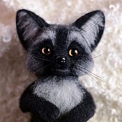 Британский кот чёрный