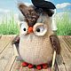 Сова училка. Амигуруми куклы и игрушки. Juliacrochettoys. Ярмарка Мастеров.  Фото №5