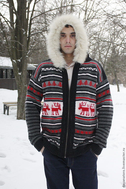 Men's jacket 'Scandinavia', Sweatshirts for men, Rostov-on-Don,  Фото №1