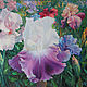 Irises. Oil on canvas. 40h50 cm, Pictures, Petushki,  Фото №1