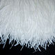 Copy of Trim of ostrich feathers 10-15 cm white and milk, braid, Moscow,  Фото №1
