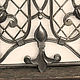 Order Wrought iron grille for door. Forged Art. Livemaster. . Door Фото №3