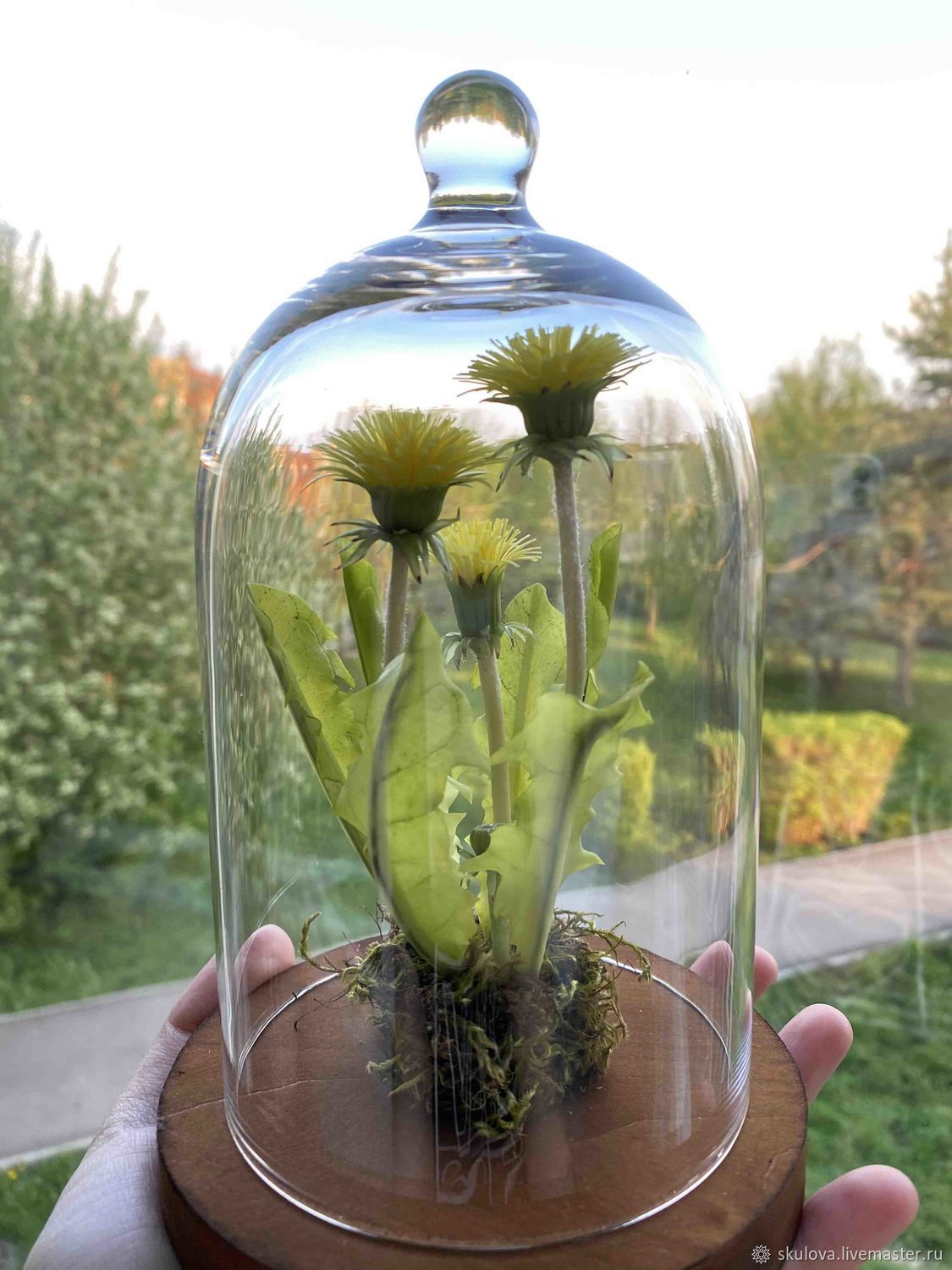 Элементы интерьера: Одуванчики из фарфора в стеклянной колбе в интернет ...