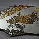 Метеорит Сеймчан коллекционный экземпляр подарок из космоса. Камни. MeteoriteArt. Ярмарка Мастеров.  Фото №5
