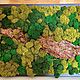  Картина из мха, Элементы экстерьера, Москва,  Фото №1