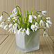 Snowdrops. Composition. Flowesforever. Online shopping on My Livemaster.  Фото №2