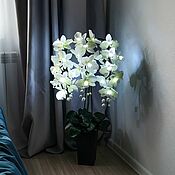 Для дома и интерьера handmade. Livemaster - original item Composition-night light of the phalaenopsis orchid 