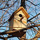 Nesting Box Classic for Starlings, Bird feeders, Moscow,  Фото №1