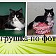 Order KITTENS PHOTO. woolmiracle (woolmiracle). Livemaster. . Stuffed Toys Фото №3
