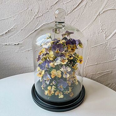 Цветы и флористика ручной работы. Ярмарка Мастеров - ручная работа Клош с сухоцветами «Анютины глазки». Handmade.
