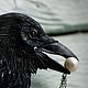 Order Brooch 'The Raven'. Secret Jar. Livemaster. . Brooches Фото №3