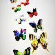 Набор бабочек  на магните (двойном скотче )12 штук 8 вариантов, Материалы для флористики, Санкт-Петербург,  Фото №1