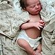 Молд реборн Realborn Daphne. Заготовки для кукол и игрушек. Анна. Ярмарка Мастеров.  Фото №5